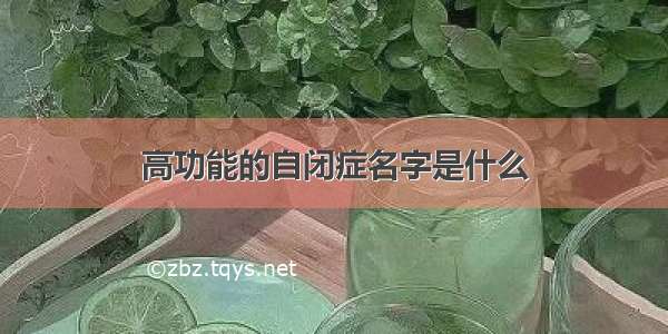 高功能的自闭症名字是什么