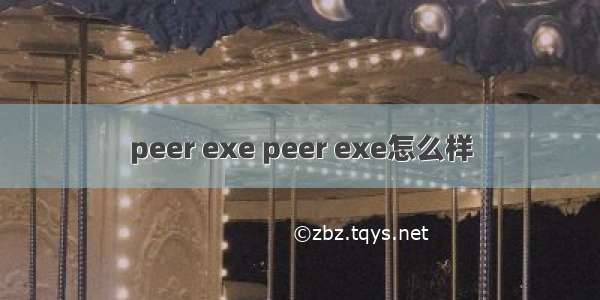 peer exe peer exe怎么样