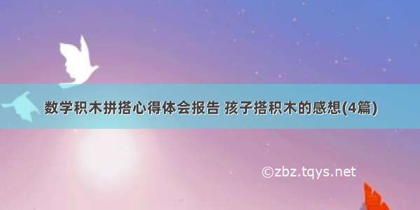 数学积木拼搭心得体会报告 孩子搭积木的感想(4篇)