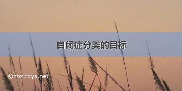 自闭症分类的目标