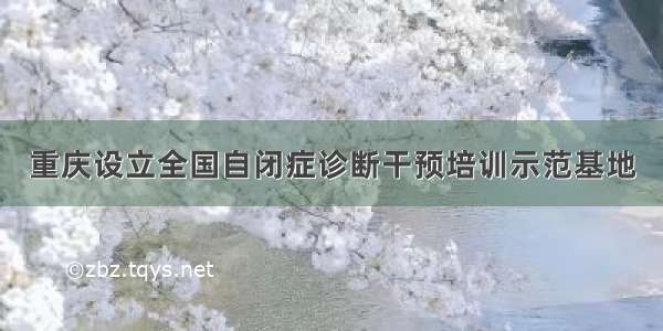 重庆设立全国自闭症诊断干预培训示范基地