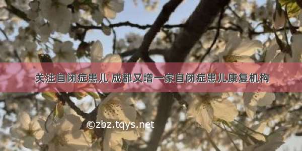 关注自闭症患儿 成都又增一家自闭症患儿康复机构