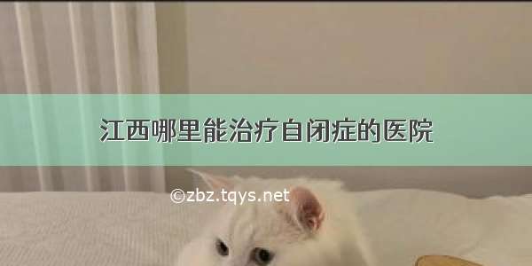 江西哪里能治疗自闭症的医院