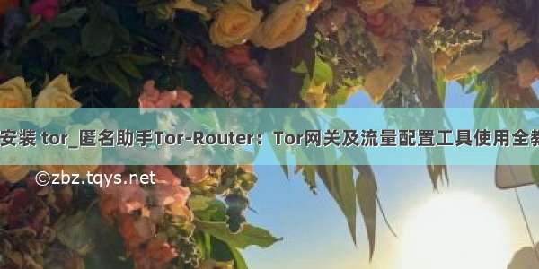 git安装 tor_匿名助手Tor-Router：Tor网关及流量配置工具使用全教程