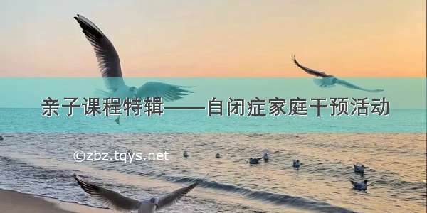 亲子课程特辑——自闭症家庭干预活动