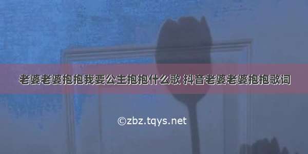 老婆老婆抱抱我要公主抱抱什么歌 抖音老婆老婆抱抱歌词