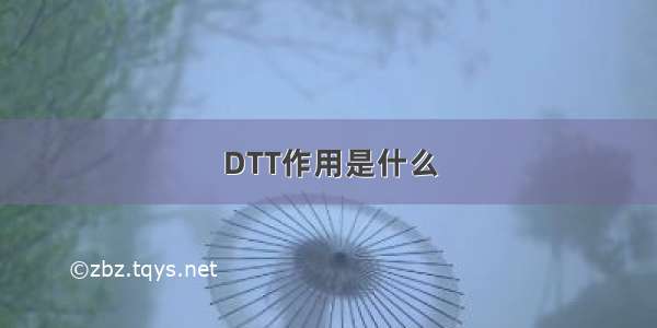 DTT作用是什么