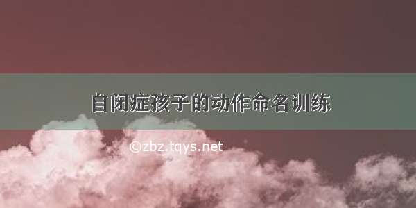 自闭症孩子的动作命名训练