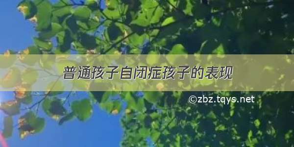 普通孩子自闭症孩子的表现