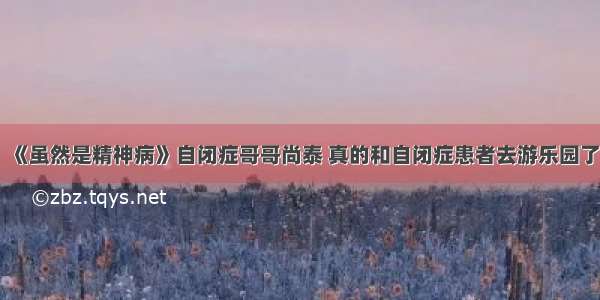 《虽然是精神病》自闭症哥哥尚泰 真的和自闭症患者去游乐园了