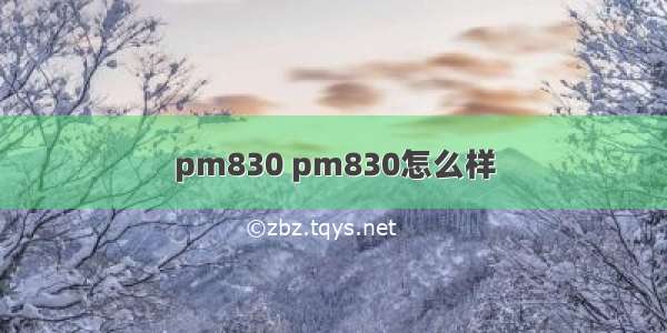 pm830 pm830怎么样