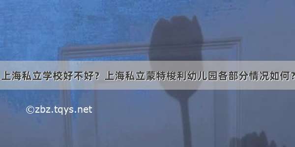 上海私立学校好不好？上海私立蒙特梭利幼儿园各部分情况如何？