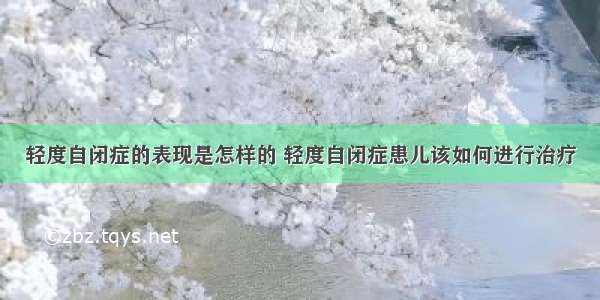 轻度自闭症的表现是怎样的 轻度自闭症患儿该如何进行治疗