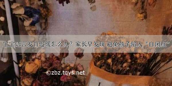 宝宝语言发育迟缓怎么办？家长早发现 避免孩子陷入“自闭症”